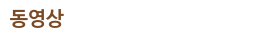 동영상